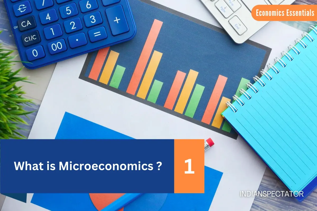 What is Microeconomics